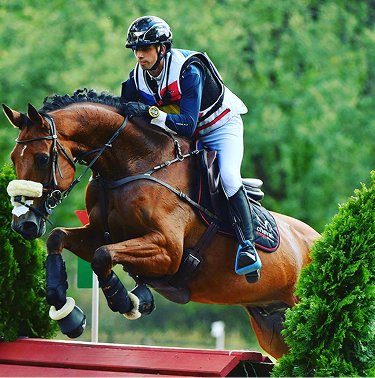 Comment choisir le bon mors pour votre cheval?
